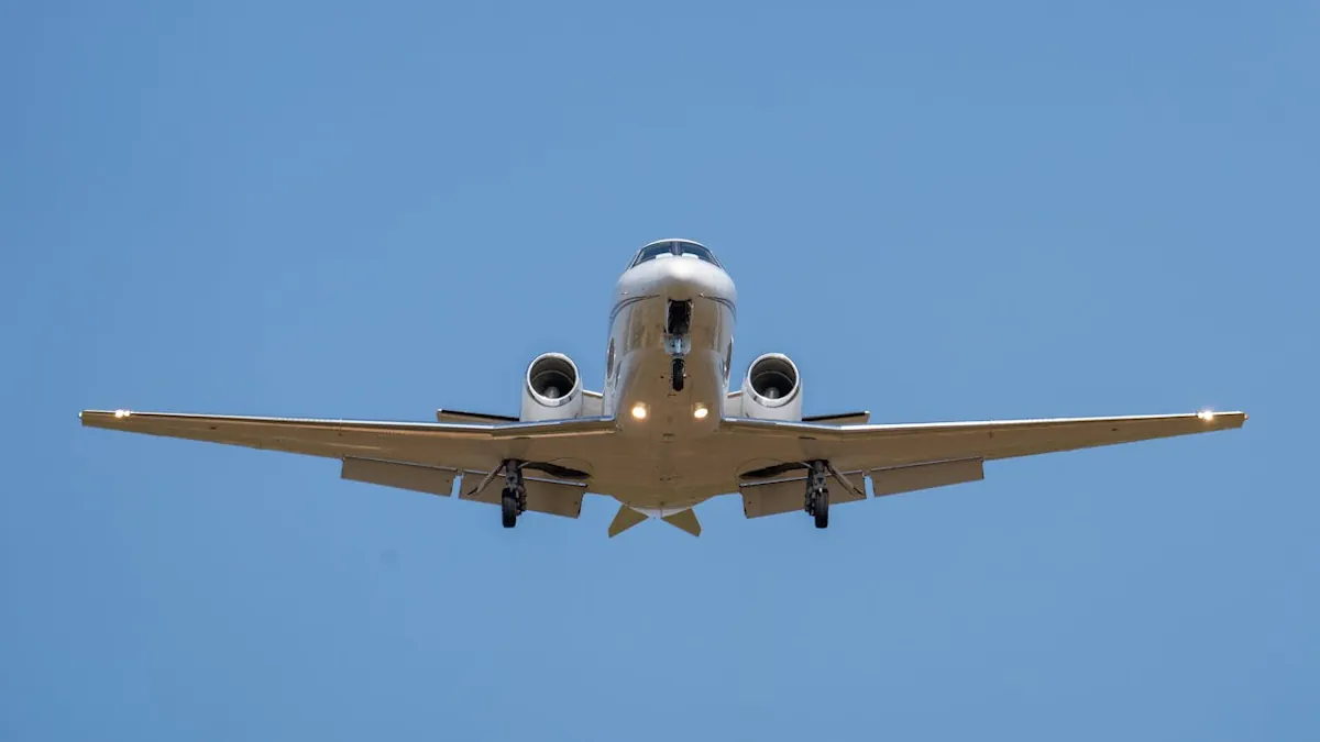 taxiflyg